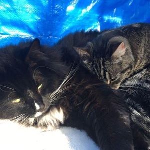 Meet your Posher, Rick